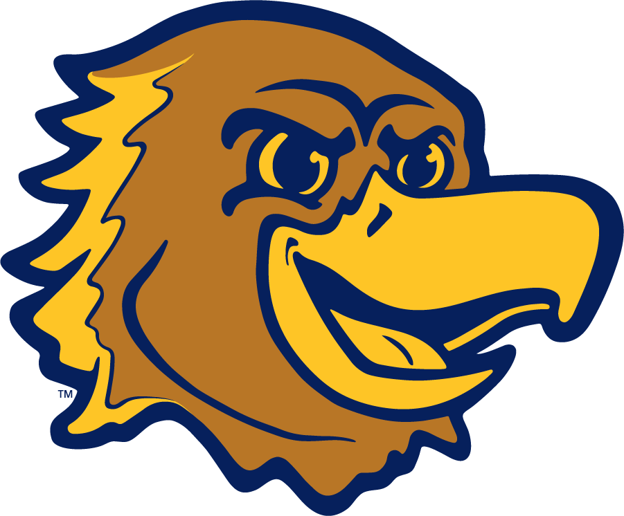 Marquette Golden Eagles 2020-Pres Mascot Logo diy DTF decal sticker